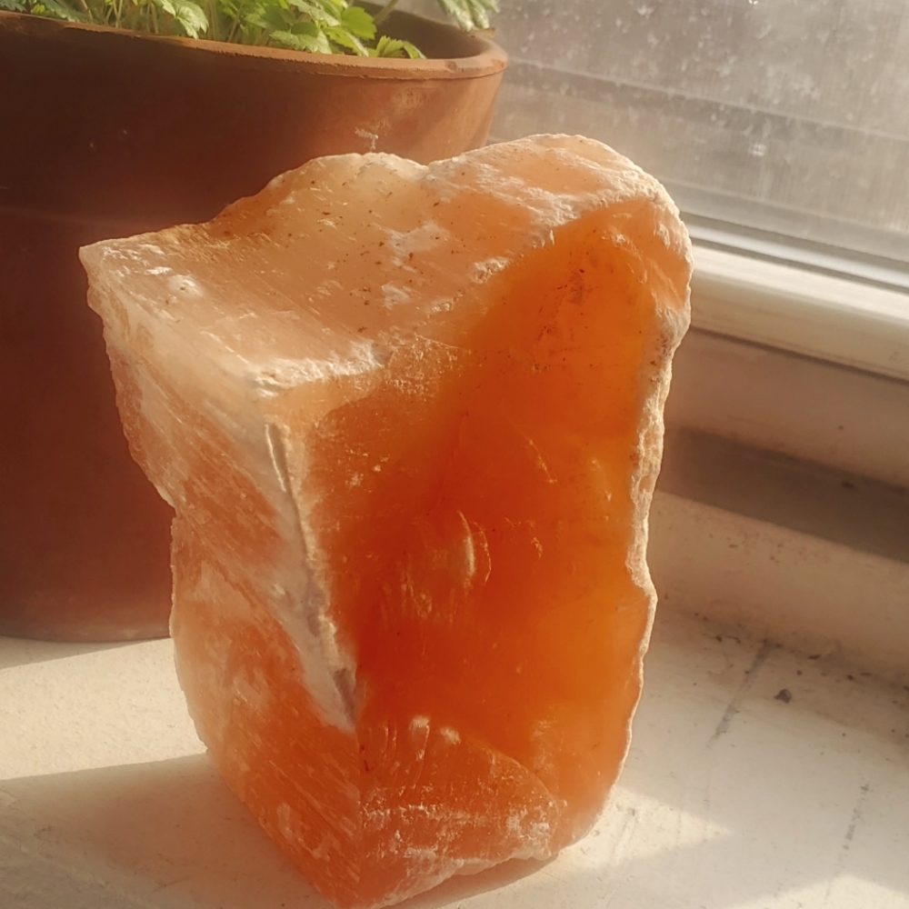 Mango selentine
